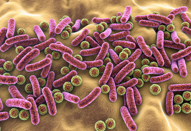 What is Your Skin Microbiome? Everything You Need to Know